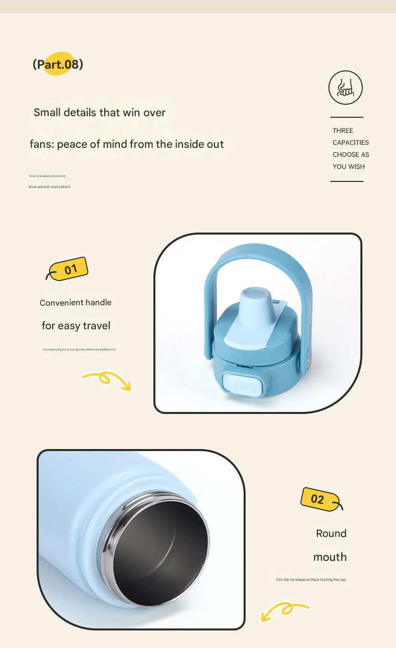 Stainless Steel Sports Bottle With Handle